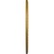 Ekena Millwork Anthony Ceiling Medallion (Canopies up to 11 5/8"), 29 3/8"OD x 11 5/8"ID x 1 1/8"P, Pharaohs Gold CM29ATPGS - alternate 2